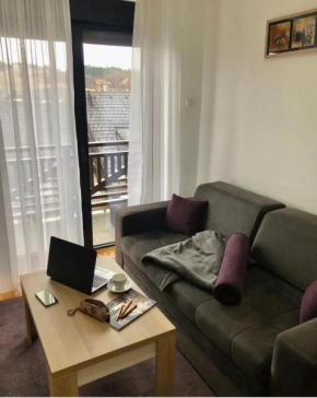 DM Apartman Zlatibor